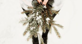 Winter moodboard + winter lover’s kit