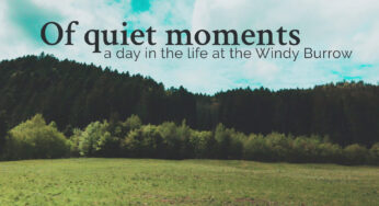 Of quiet moments – a day in the life: our new vlog is online