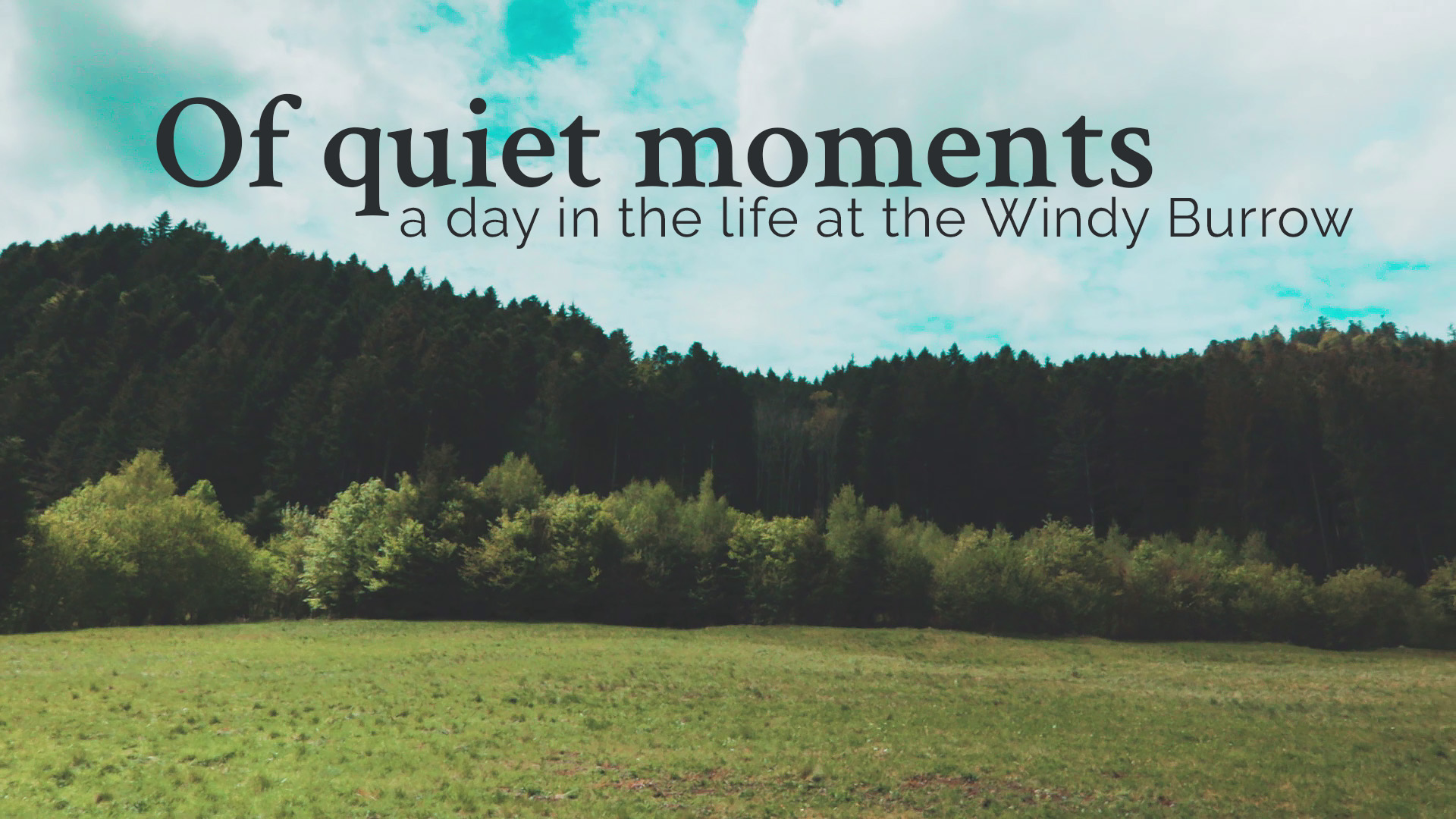 Of quiet moments – a day in the life: our new vlog is online