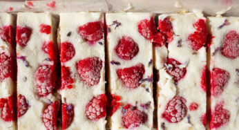 A frozen treat for hot summer days: healthy Vegan frozen yogurt & raspberries bars