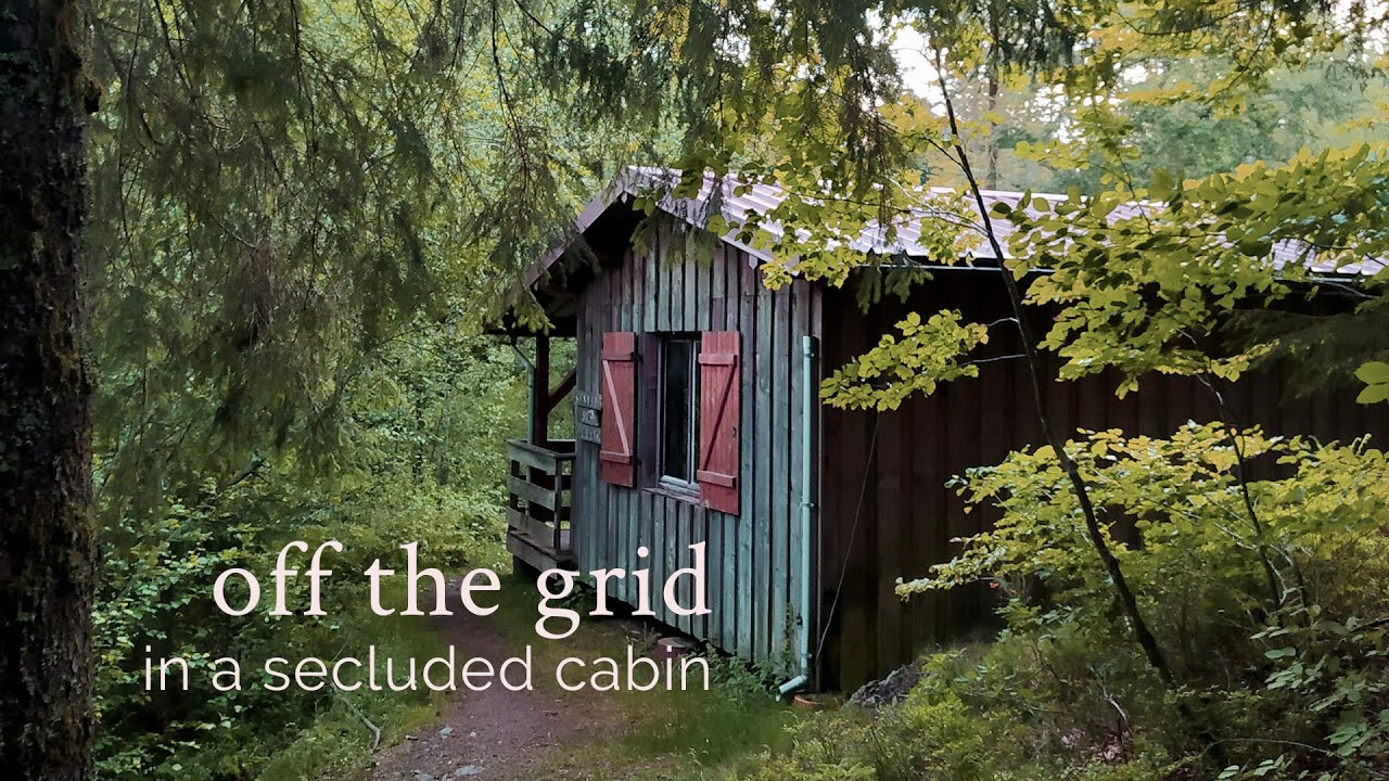 A weekend off the grid in a secluded cabin in the woods – new vlog